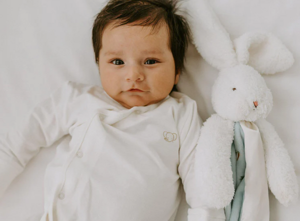 Bud Bunny Buddy Blanket